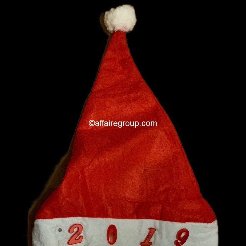 Bonnet de noël 2019