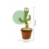 Jouet cactus