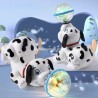 Dalmatiens acrobate