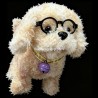 Spectacled dog
