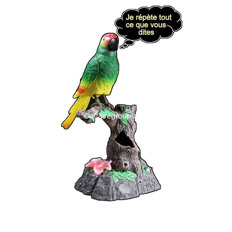 Parrot talk